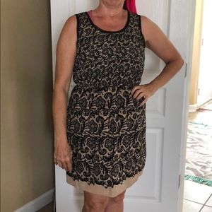 Rodarte Target lace dress size large